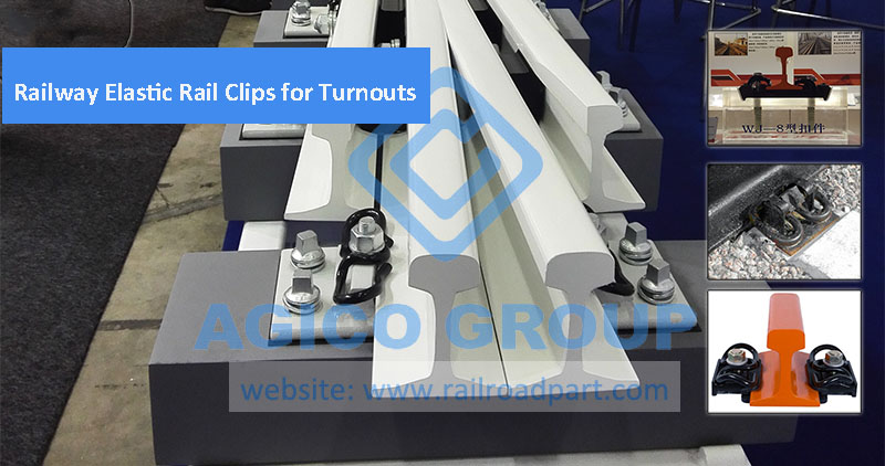 Railway Elastic Rail Clips for Turnouts